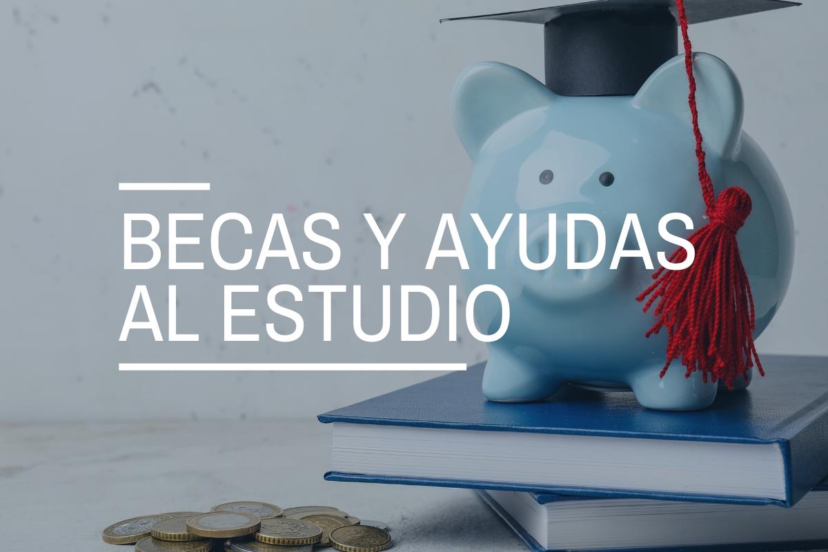 Becas y ayudas universitarias 2025-2026: requisitos, cuantías y novedades