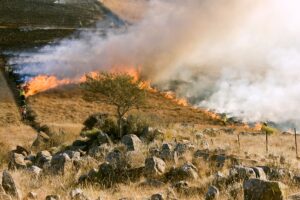 Desastre climático: últimas catástrofes meteorológicas mundiales